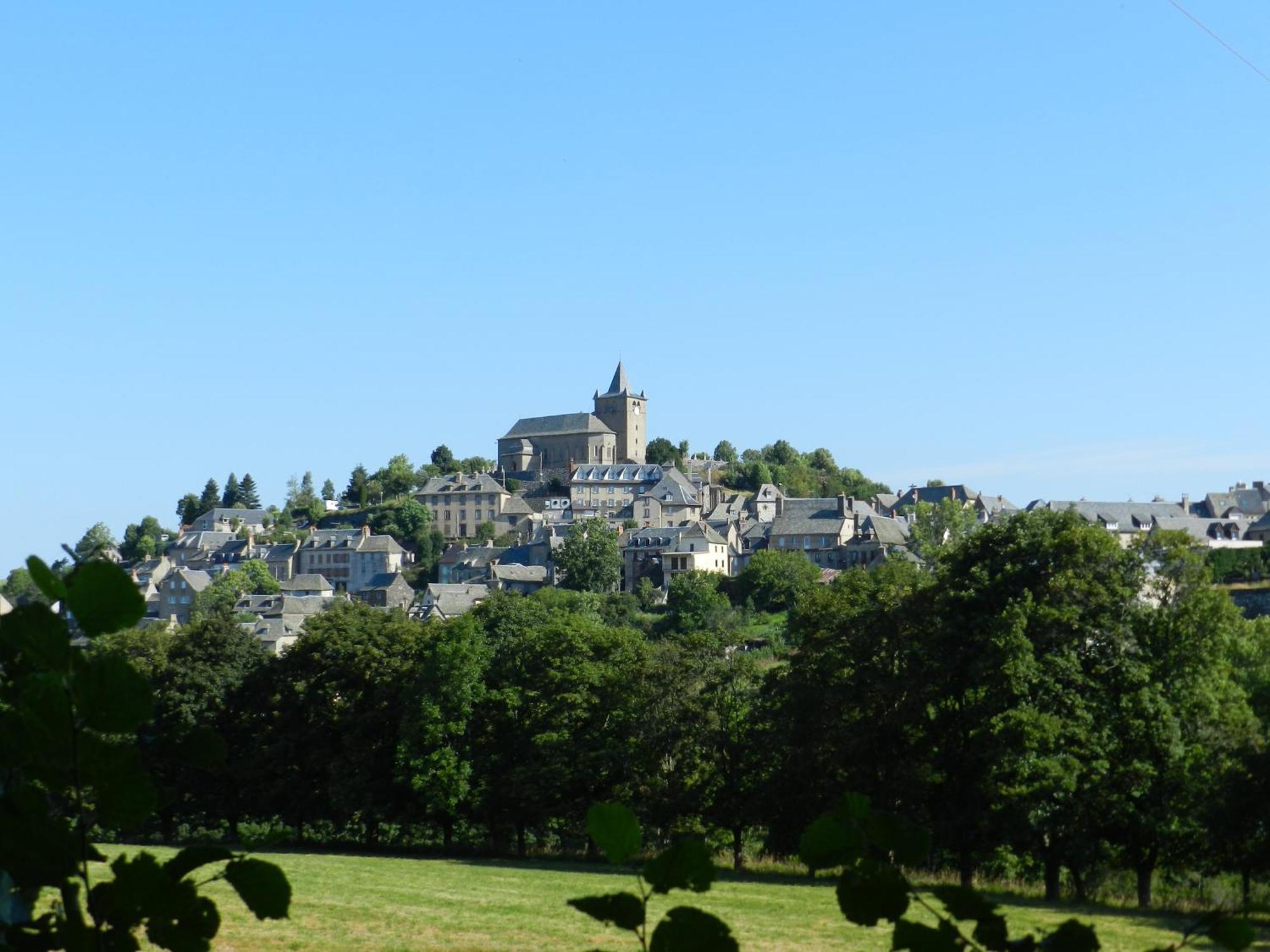 Best Western Le Relais De Laguiole Hotel & Spa Esterno foto